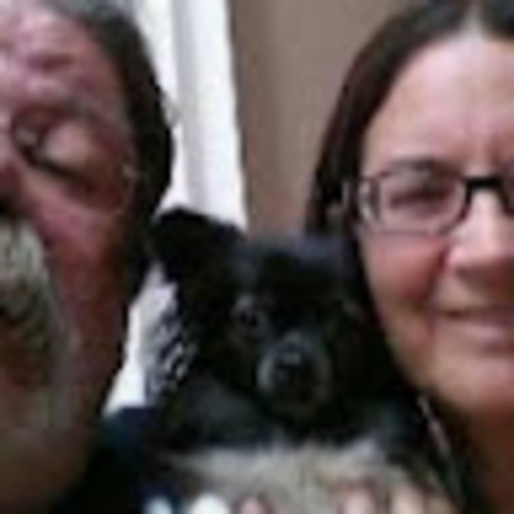 Meet your Posher, Pete